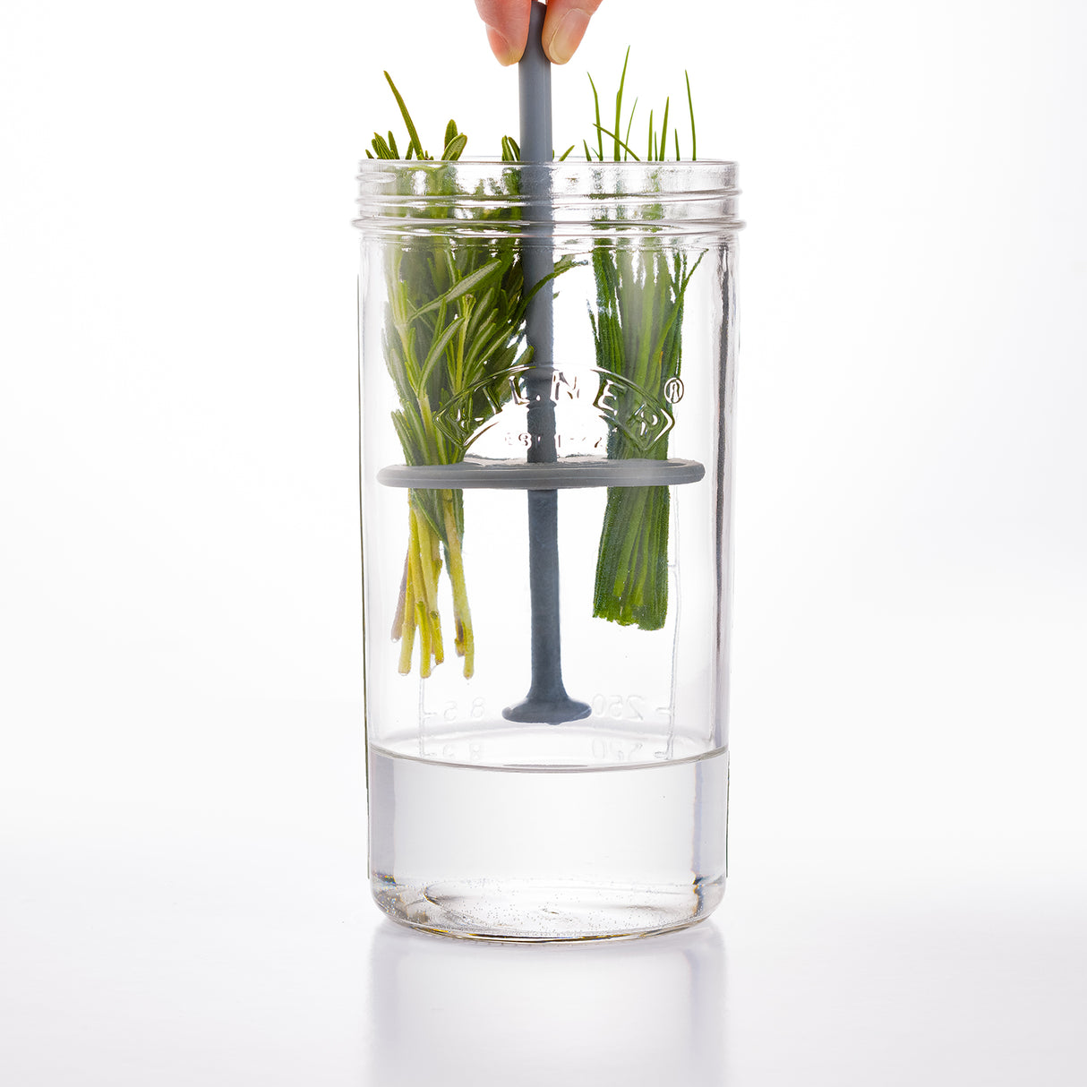 KILNER Kräuter-Frischhalteglas, 1 Liter, transparentes Glasbehälter für frische Kräuter und Gewürze, mit Schraubverschluss.