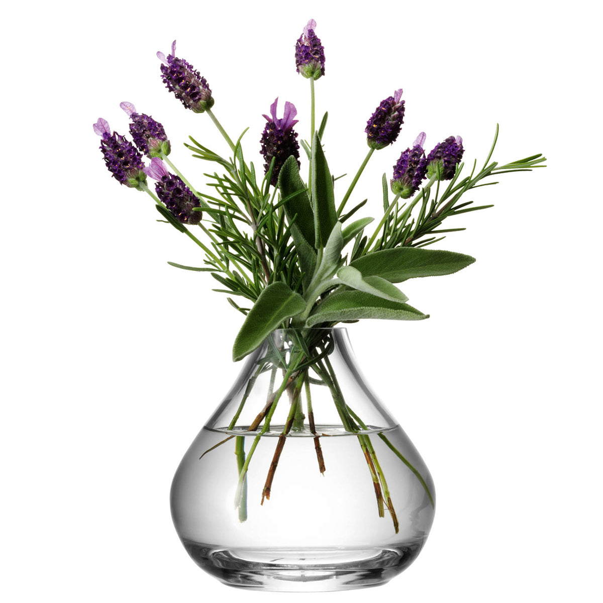 Clear glass flower sprig vase by LSA, 11cm tall, featuring a sleek, modern design perfect for displaying floral arrangements.