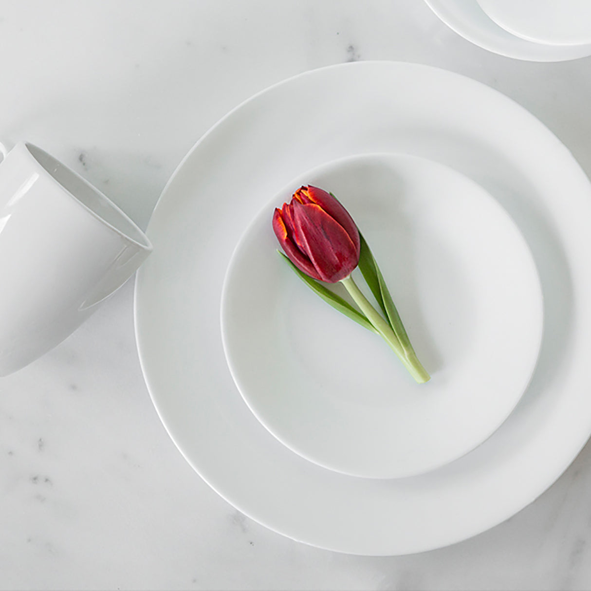 Corelle Winter Frost Leinengewebtes Service Set, 12-teilig, elegante Tafelgeschirr mit winterlichem Muster auf weißem Hintergrund