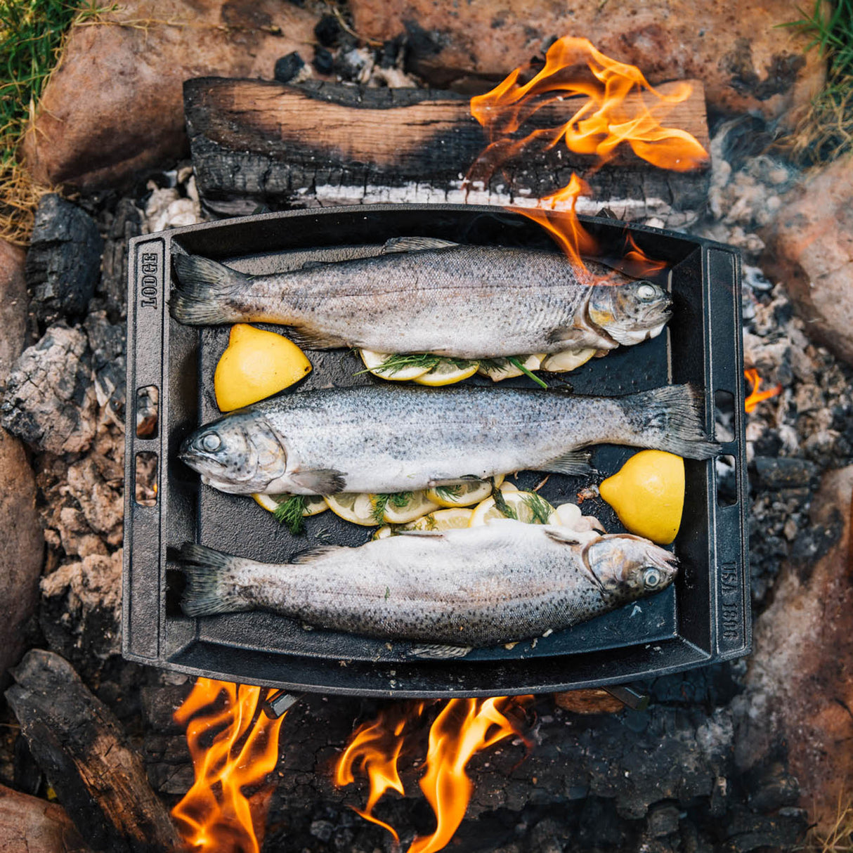 Schwarze LODGE Grillplatte Classic, 30,5 cm, mit gerillter Oberfläche zum Grillen und Braten.