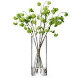 Clear LSA Column Giant Vase, H50 x Ø20cm, with a tall, cylindrical glass design suitable for floral arrangements.