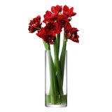 Clear LSA Column Giant Vase, 50cm tall with 20cm diameter, elegant glass vase for floral displays.