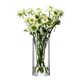 Clear LSA column vase, 28cm tall with 13cm diameter, featuring a sleek cylindrical design perfect for floral displays.