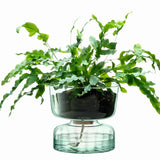 LSA Selfwatering Topf CANOPY in matte finish, H22cm, with visible water reservoir and plant, designed for indoor gardening.