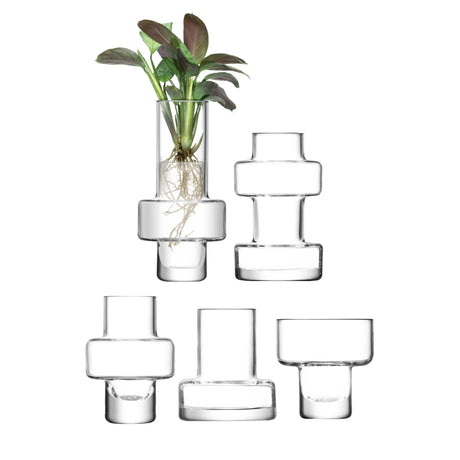Set of five clear LSA Metropole Mini Vases in different sizes, including 7cm, 8cm, 10cm, 12cm, and 15cm, designed for floral displays.