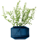 LSA Rotunda tealight holder in sapphire glass, 7cm tall, showcasing elegant, rounded design with a smooth surface.