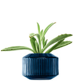 LSA Rotunda tealight holder in sapphire glass, 7cm tall, elegant cylindrical design for decorative candle display