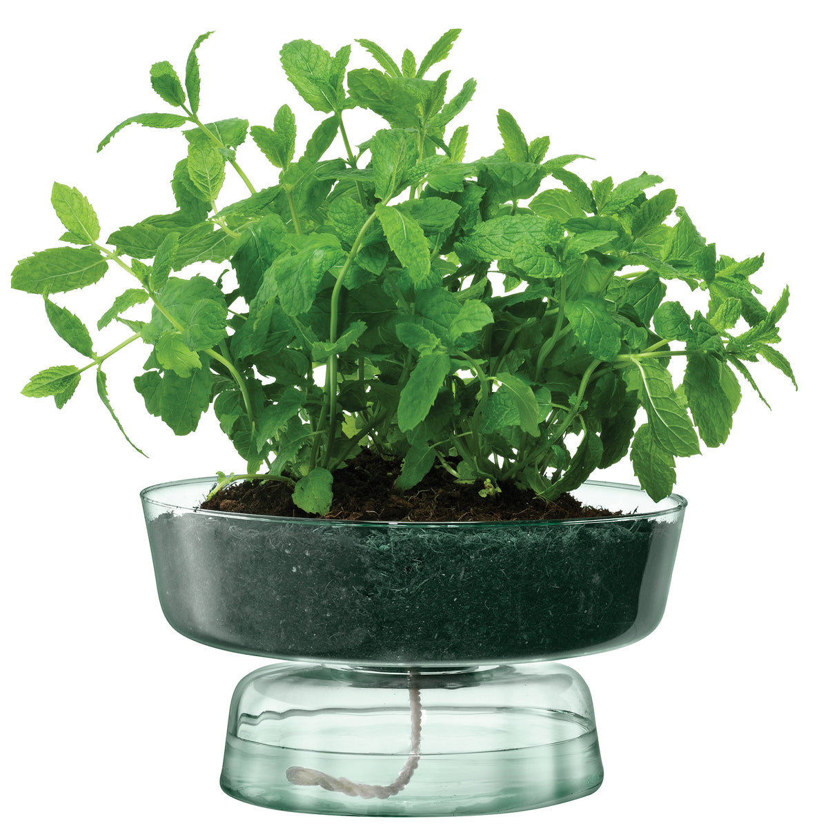 LSA Selfwatering Canopy planter in matte finish, H14.5cm, designed for indoor plant watering with a modern style.