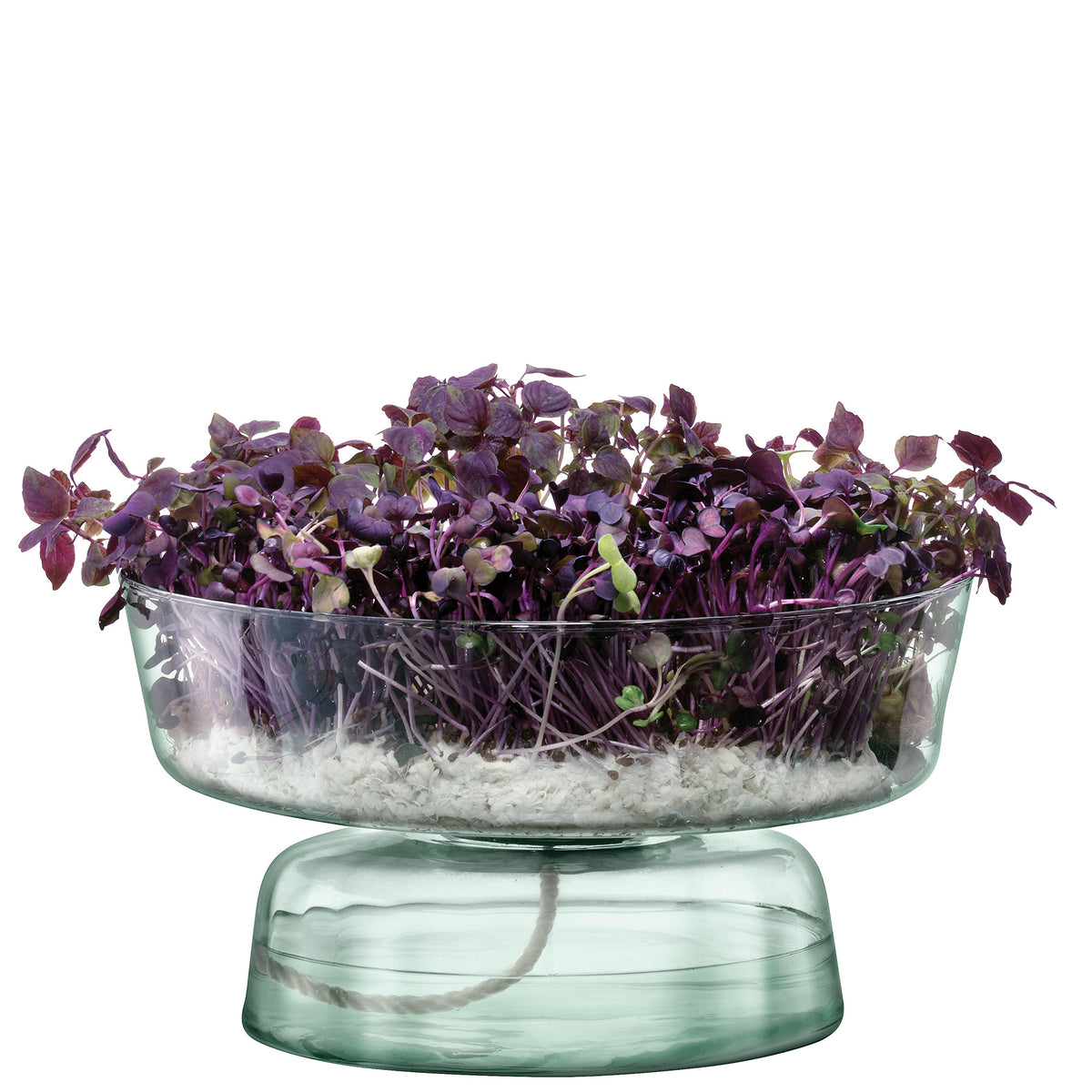 LSA Selfwatering Topf CANOPY in matte finish, H14.5cm, modern ceramic planter with self-watering feature for indoor plants.