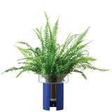 Blue LSA Planter Terrazza with a 22cm height, featuring a modern design suitable for indoor or outdoor decor.