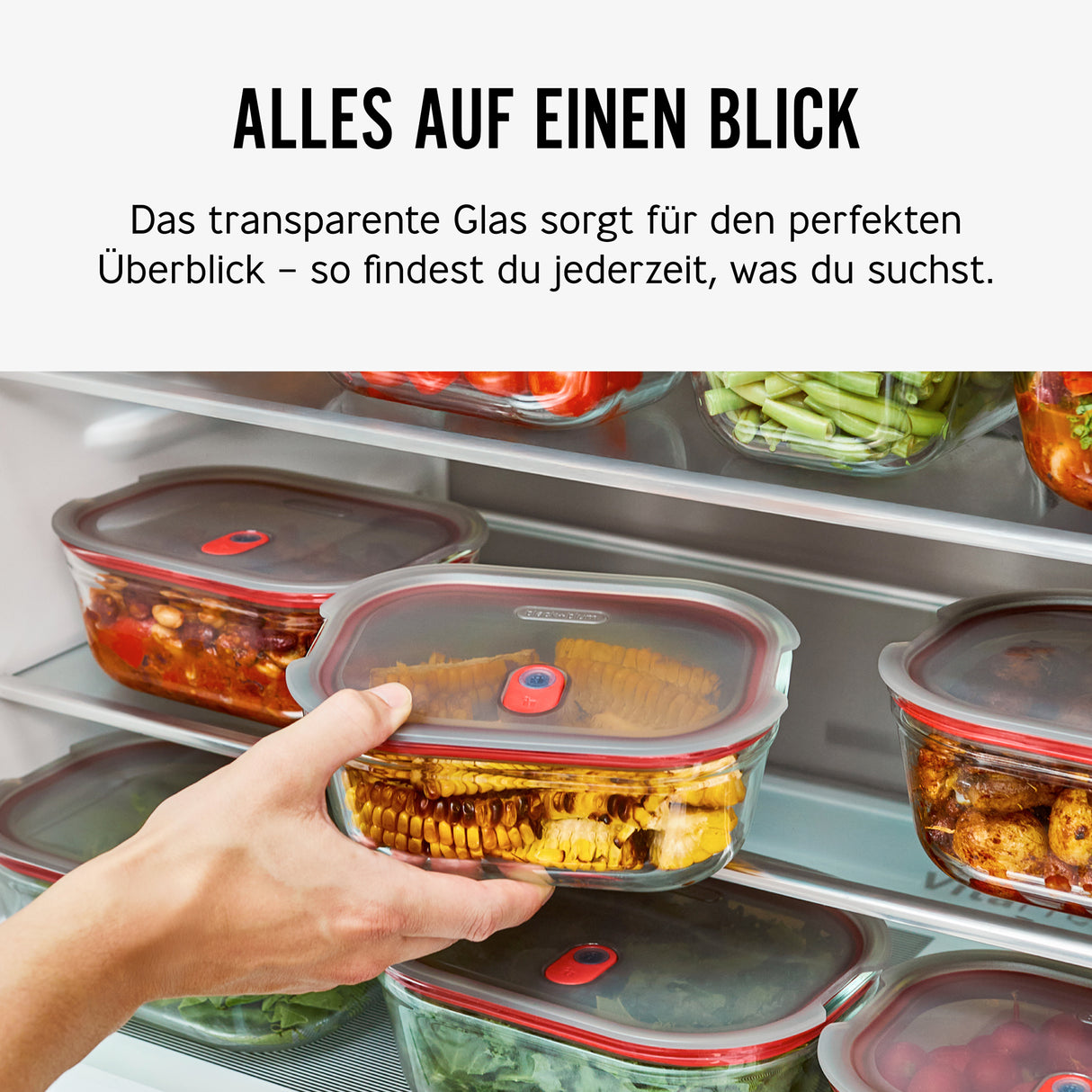 Schwarze BLACK+BLUM Multifunktionsdose aus Glas, elegante Aufbewahrungsdose mit Deckel für Lebensmittel und Küchenzubehör