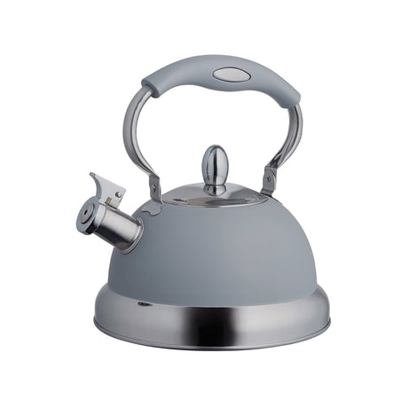 Pastellgrauer Wasserkessel von Typhoon, 2. Wahl, aus Edelstahl mit Griff und Deckel, ideal für das Wasserkochen.