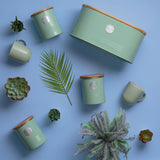 Living Collection Zuckerdose aus pastellgrünem Keramik, 1 Liter, von Typhoon, mit Deckel und eleganter Oberfläche.